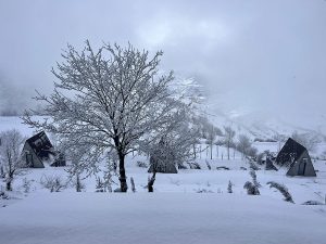 ویلای خیام